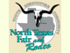 north_texas_fair
